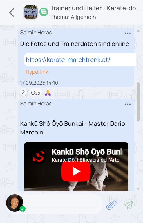Screenshot: Gruppen-Chat mit Reaktionen und geteilten Inhalten